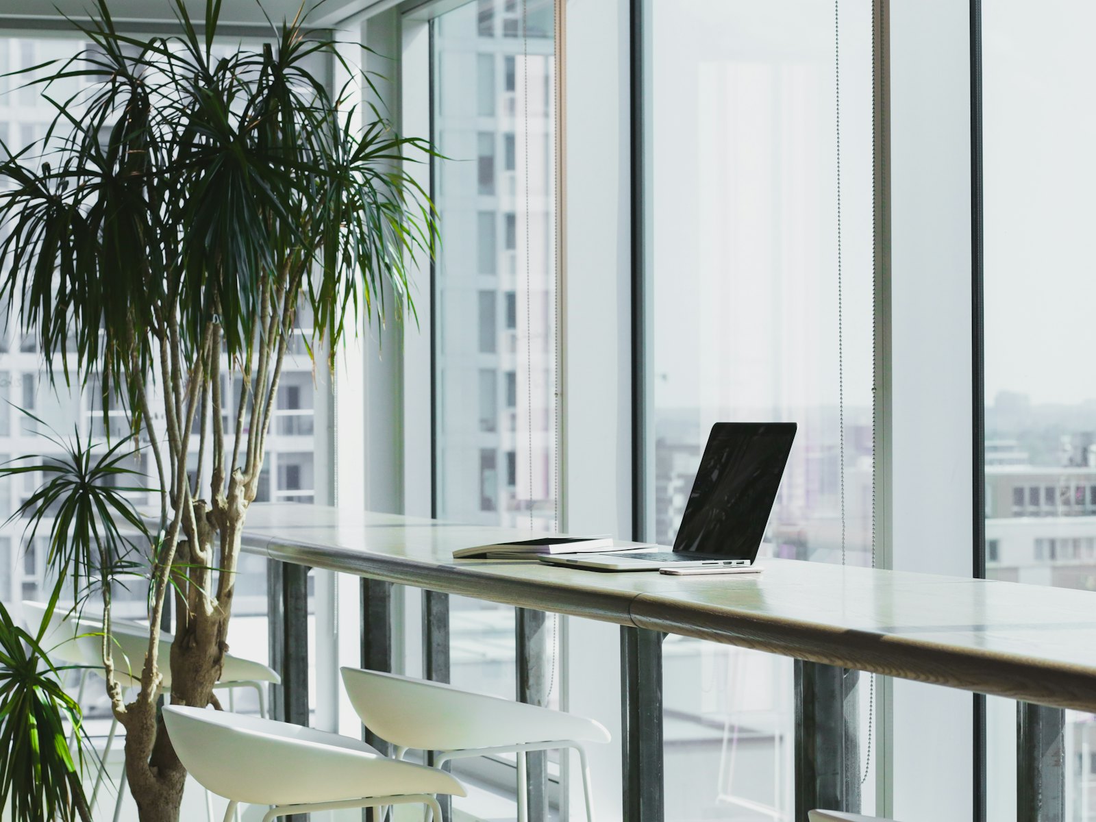 Quiet office corner with a wooden desk beside a tall window